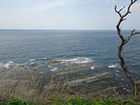 灯台付近から見た日本海